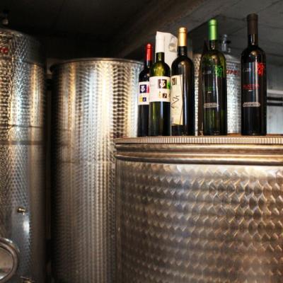 Vino Matic Podrum 10