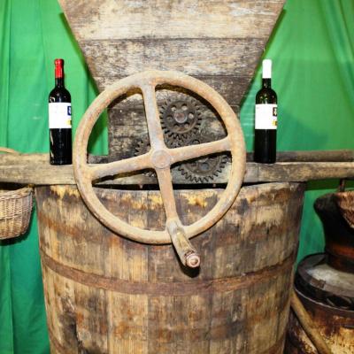 Vino Matic Podrum 11