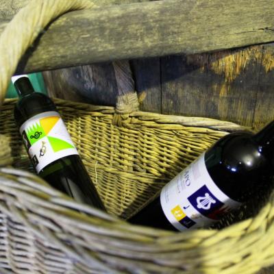 Vino Matic Podrum 13